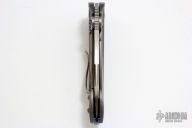 Whaleshark HG Satin - Titanium w/ Blue Screws #14