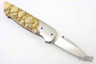 Model A with Tiger Coral Scales