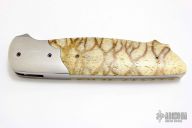 Model A with Tiger Coral Scales