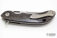 Wayfarer Compact WC119