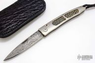 Ventana - Titanium and Ray Skin