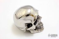 Skull - Hardened Stainless Steel