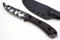 Rodent Trail - Urban Digicam