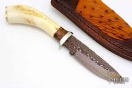 Hunter - Warthog Tusk