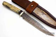 Large Hunter - Zebra Leg Bone