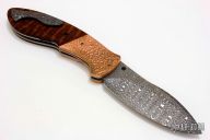 Grand Gyrfalcon - 2016 TKI