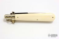 Ivory Picklock