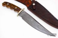 Damascus & Petoskey Stone Fighter