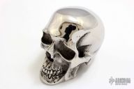 Skull - Hardened Stainless Steel