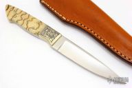 Engraved Tiger Coral Hunter