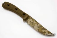 Rodent Trail - Desert Digicam