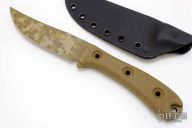 Rodent Trail - Desert Digicam