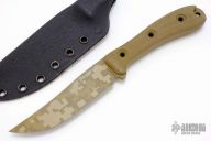 Rodent Trail - Desert Digicam