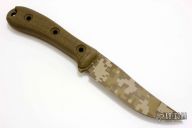 Rodent Trail - Desert Digicam