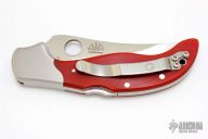 C83GPRD Persian by Ed Schempp