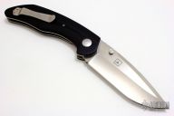 Model 100 - TAD Edition