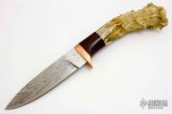 Damascus and Crown Stag Hunter