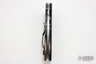 C172CFTIP Domino Flipper