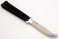 Model 169 WeeHawk - International Series 1985