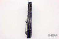 Black Dolphin Flipper