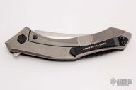 0460 Sinkevich Flipper