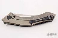 0460 Sinkevich Flipper