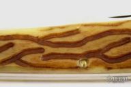 04213T Mountain Man Trapper