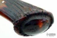 Special Sheath Knife AS