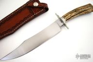 Stag Bowie