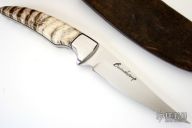 Mammoth Molar Hunter