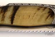 Engraved Interframe Folder