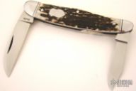 Swell Center Congress