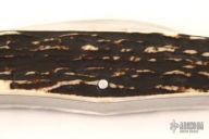 Swell Center Congress