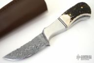 Damascus & Stag Fixed Blade