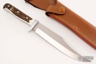 11 6396 Original Bowie