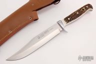 11 6396 Original Bowie