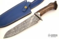 Damascus & Crown Stag Knife