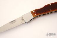 C27P - Jess Horn (#427)