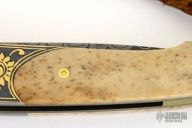 Lancet - T10 Maltese