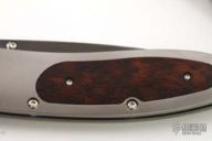 Monarch - B05 TSB (#026/500)