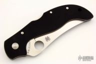 C83GP2 Persian by Ed Schempp - Signed Box