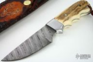 Barrus Antiquus Lamna Model FX04