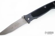 Chameleon D/A (5/96)