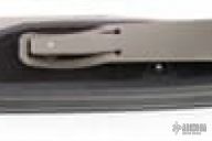 Chameleon D/A (5/96)