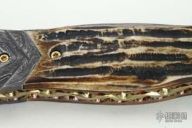 Damascus & Stag Folder