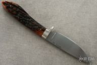 Sambar Stag Hunter, Best Hunter Award!! (R. Newton)