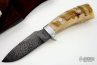 Damascus & Sheep Horn Knife