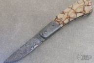 # 790 Damascus Palm Release