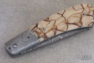 # 790 Damascus Palm Release