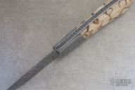 # 790 Damascus Palm Release